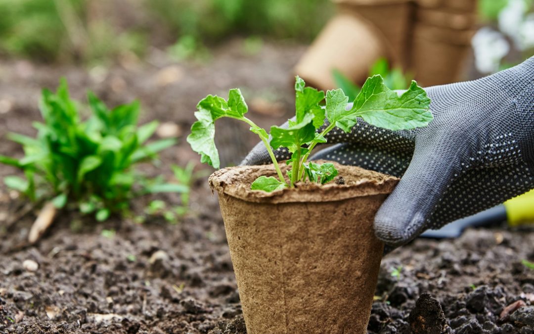 Spring Gardening Checklist: Essential Tasks to Kickstart the Season