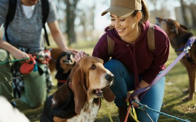 A Guide to Introducing Shy Pets to New Caregivers