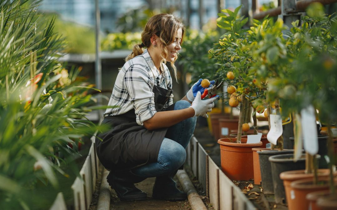 Gardening Made Easy: Tools and Supplies to Enhance Your Green Thumb 