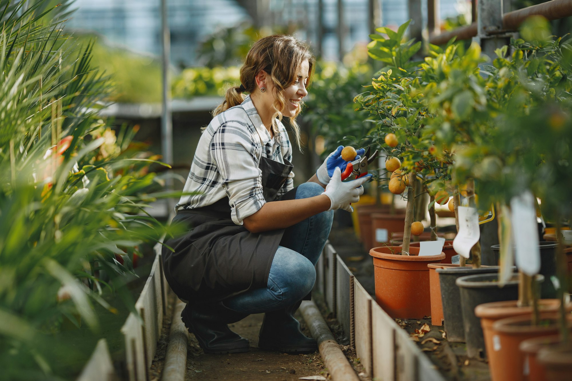 Woman in a apron working in a greenhouse